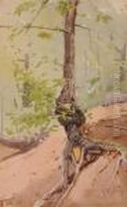 L'albero by Filiberto Petiti