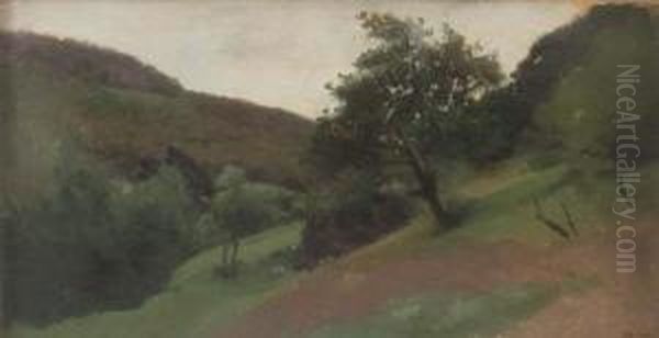 Paesaggio Collinare - view 1