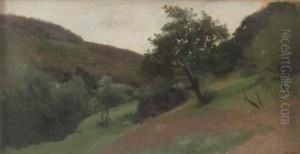 Paesaggio Collinare