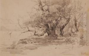 Boscaglia by Filiberto Petiti