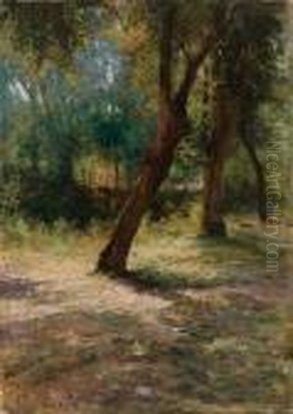 Luci Tra Gli Alberi by Filiberto Petiti