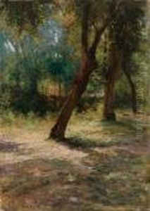 Luci Tra Gli Alberi by Filiberto Petiti