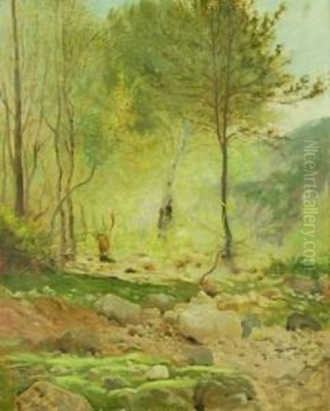 Paesaggio Boschivo - view 1