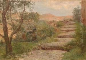 Scalinata Di Campagna