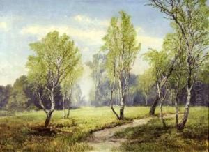 Birkenlandschaft Mit Bachlauf