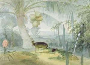 A Landscape in Ceylon with Barking Deer and Fawn and a pair of Paradise Fly Catchers