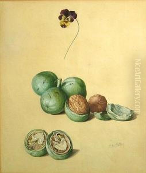 A Study Of Walnuts - view 1