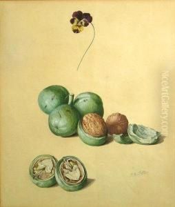 A Study Of Walnuts
