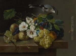 Blumen- Und Fruchtestillleben Mit Einem Vogel by Franz Xaver Petter