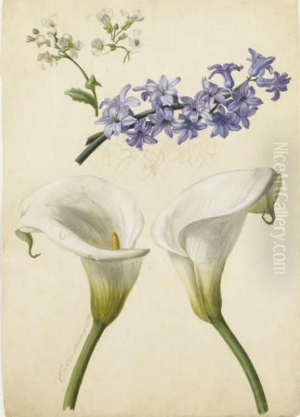 Deux Arums, Des Branches De Pommiers En Fleurs Et Une Jacinthe Bleue - view 1