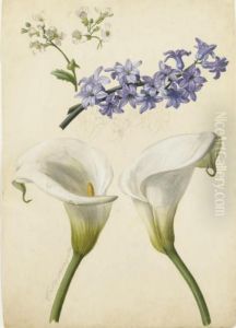 Deux Arums, Des Branches De Pommiers En Fleurs Et Une Jacinthe Bleue by Franz Xaver Petter