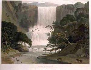 Cascade on Sneuwberg by Samuel Daniell