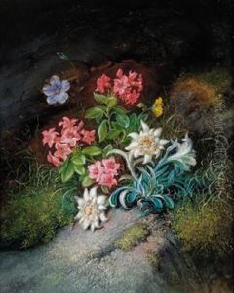 Alpine Flowers - view 1
