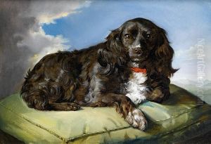 A Spaniel On A Green Cushion