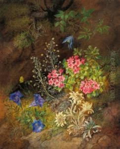 Natura Morta Con Fiori Alpini - Genziana Natura Morta Con Fiori Alpini - Genziana