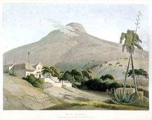 View of the Lions Head