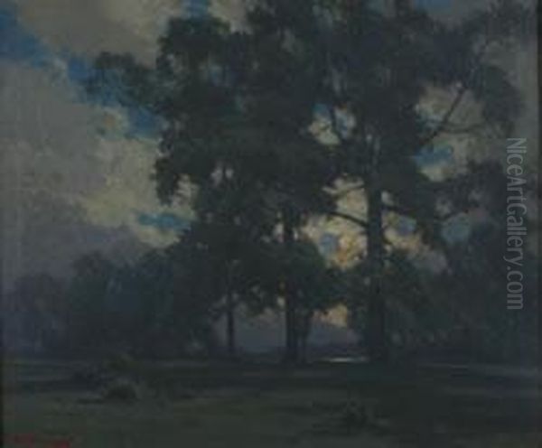 Forest Scene - view 1