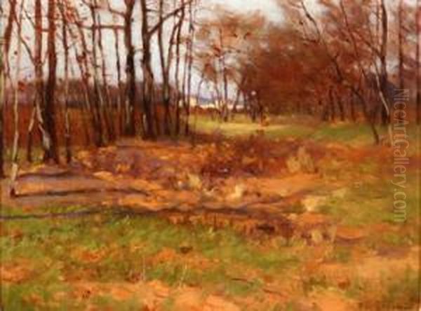 Late Autumn Landscape With Birch Trees - view 1