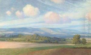 The South Downs