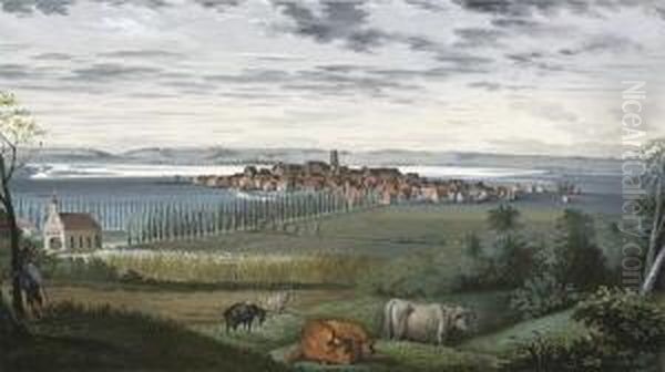 Ansicht Von Buchau Mit Dem Federsee. - view 1