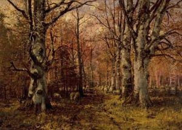 Wooded Path I (sheep) - view 1