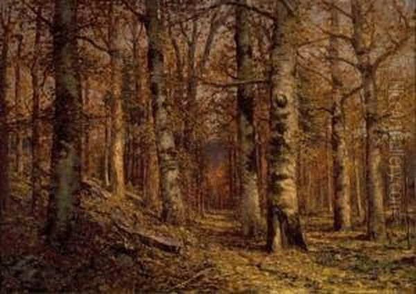 Wooded Path Ii - view 1