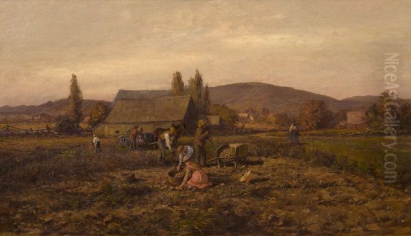 Harvesting Potatoes - view 1