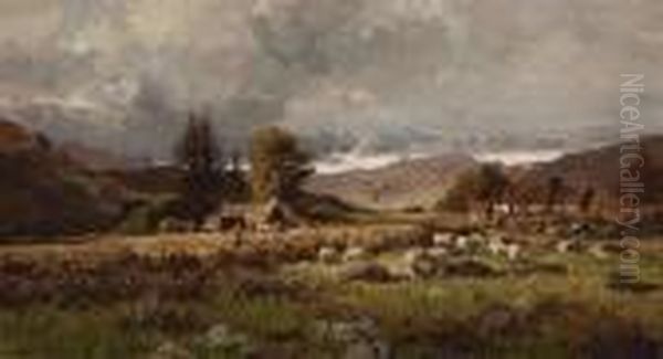 Sheep Grazing - view 1