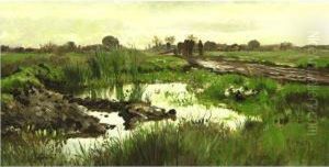 Rural Landscape In New England by William Preston Phelps