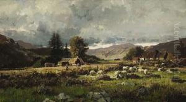 Sheep Grazing On A Farm - view 1
