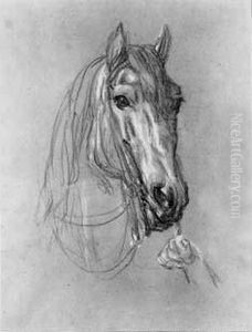 Etude De Tete De Cheval by Henri Felix Emmanuel Philippoteaux