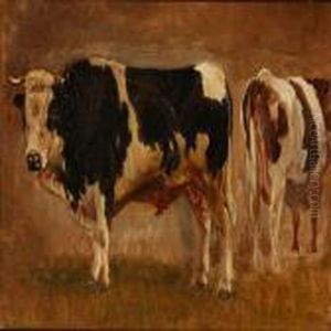 Grazing Bulls