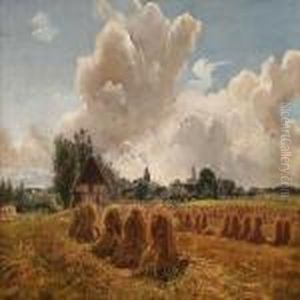 A Field Withstooks