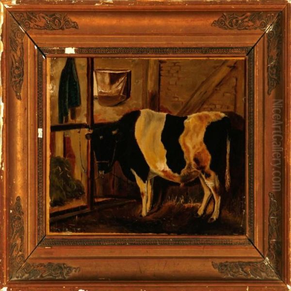 Black-and-white Bull In The Stables - view 1