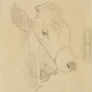 Three Studies Of Cows by Theodore Esbern Philipsen