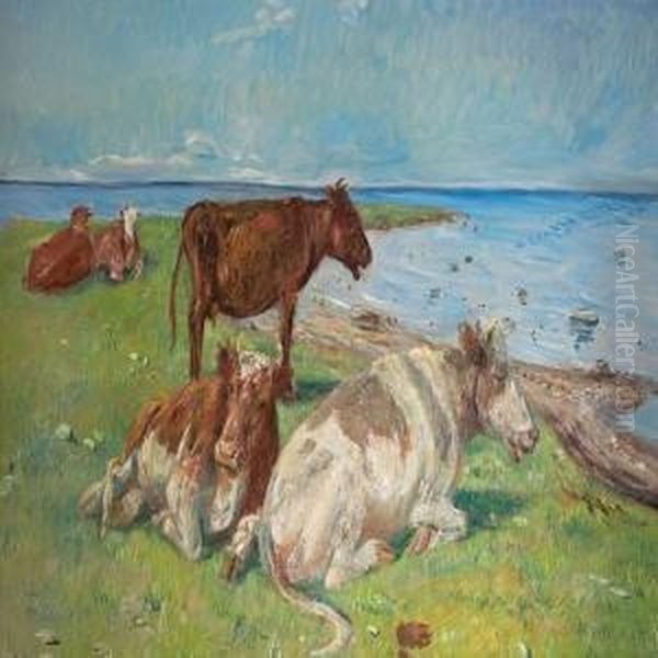 Cows - view 1