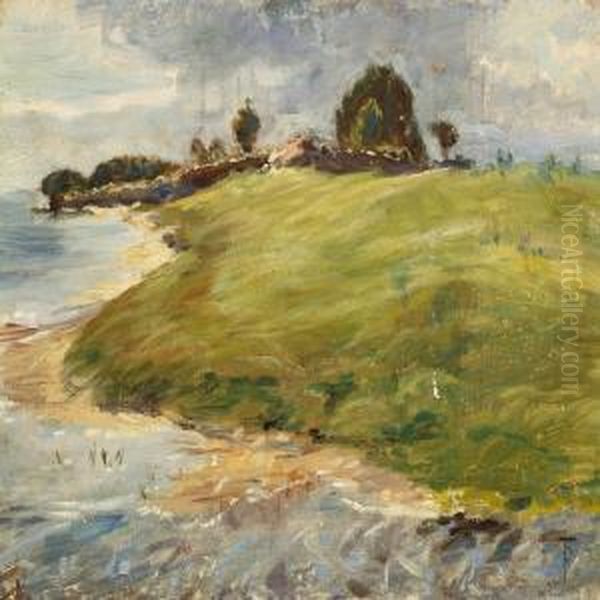Fra Saltholm Strand - view 1