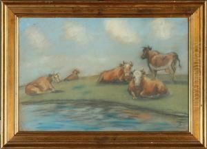 Grazing Cattle On Saltholm Island, Denmark