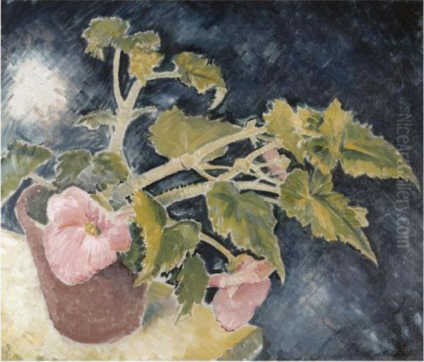 The Pink Begonia - view 1