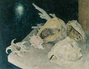 Shells Shells