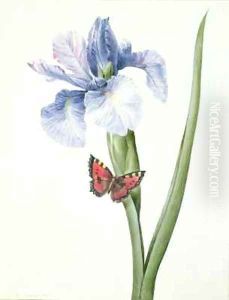 Blue Iris with Butterfly Spuria by Louise D'Orleans