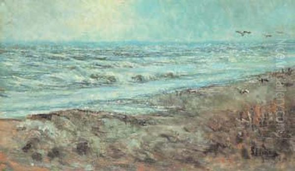 Spiaggia Con Gabbiani - view 1