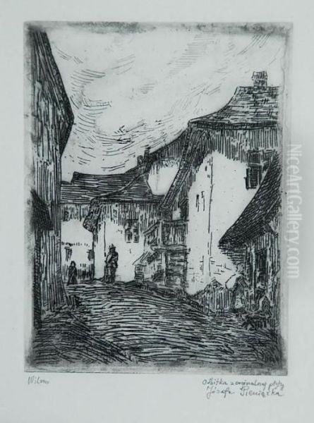 Wilno - view 1
