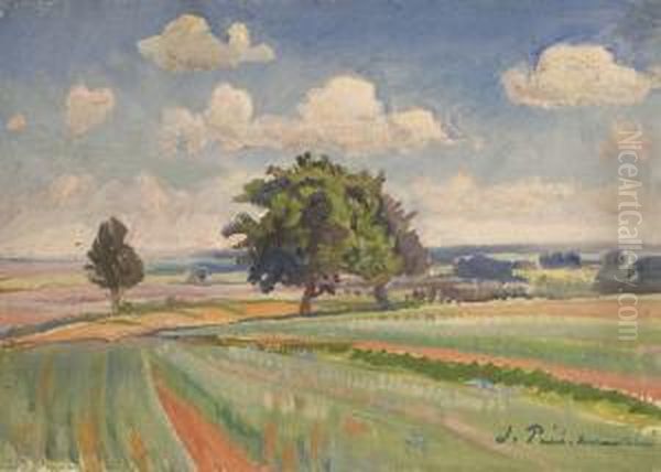 Pejzaz Letni - view 1