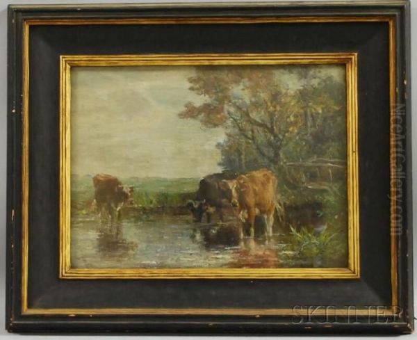 Cows Watering. - view 1