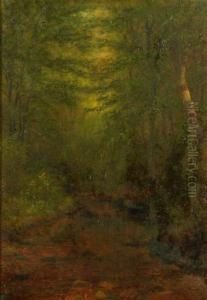 Brook Study North Woodstock, Nh by Charles Franklin Pierce