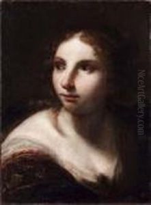 Ritratto Di Giovane Donna