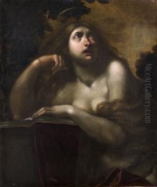 Maddalena - view 1
