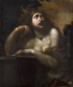 Maddalena