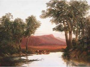 Cumming's Peak, Western Bluff, Tasmania